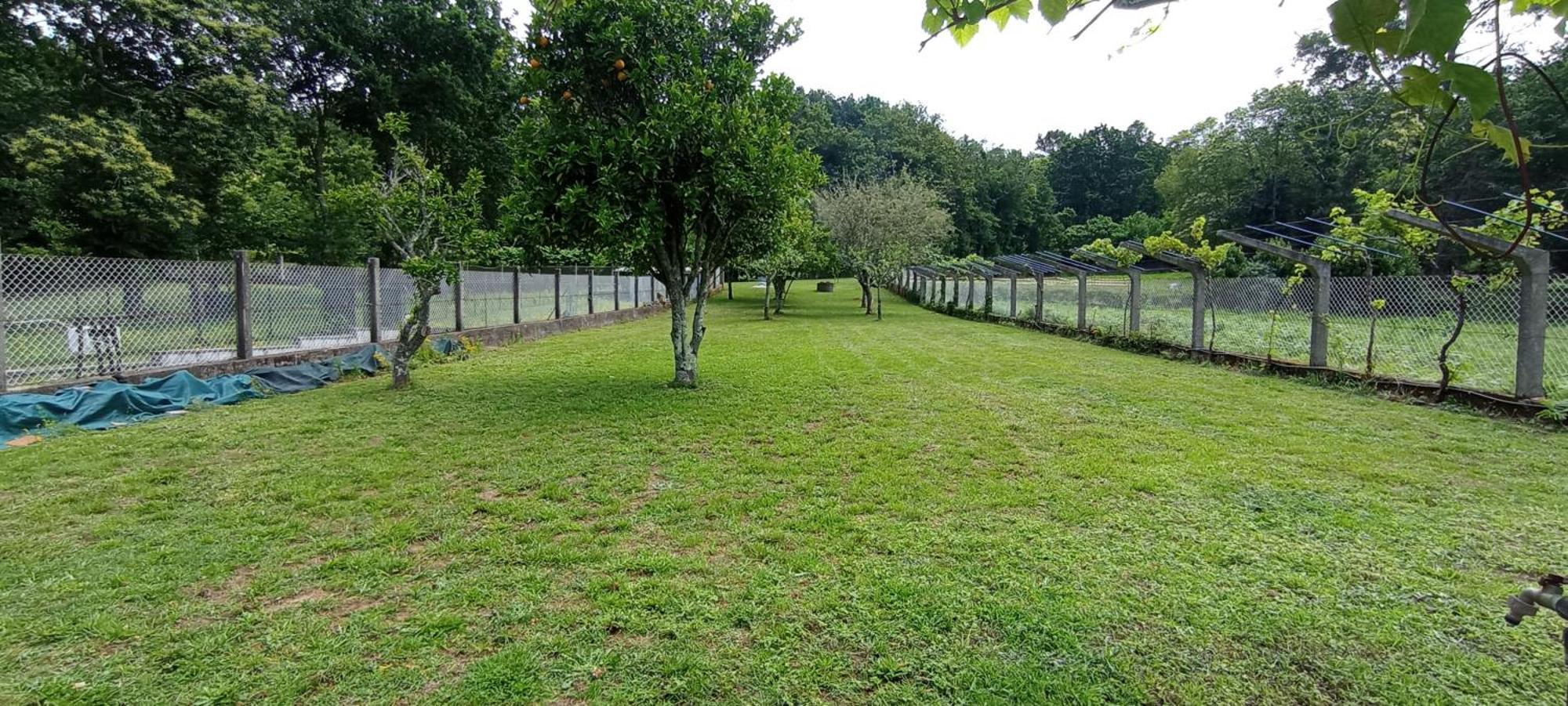Agro Do Souto, Noia - Villa Completa Exterior foto